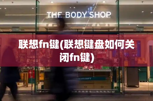 联想fn键(联想键盘如何关闭fn键)-第1张图片-星选值得买