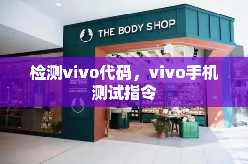 检测vivo代码，vivo手机测试指令