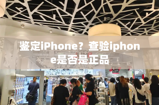 鉴定iPhone？查验iphone是否是正品-第1张图片-星选测评