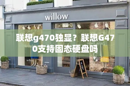 联想g470独显？联想G470支持固态硬盘吗