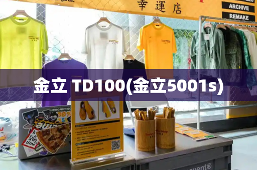 金立 TD100(金立5001s)-第1张图片-星选测评