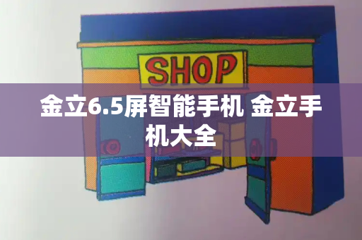 金立6.5屏智能手机 金立手机大全