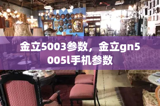 金立5003参数，金立gn5005l手机参数