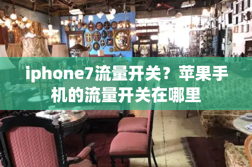 iphone7流量开关？苹果手机的流量开关在哪里-第1张图片-星选测评