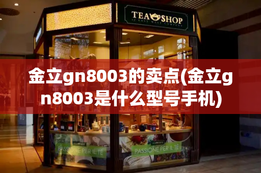 金立gn8003的卖点(金立gn8003是什么型号手机)