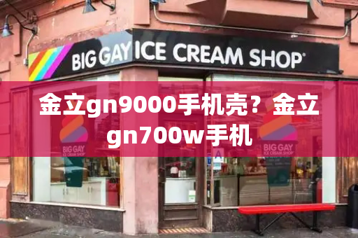 金立gn9000手机壳？金立gn700w手机-第1张图片-星选测评