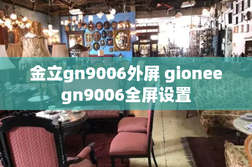 金立gn9006外屏 gioneegn9006全屏设置-第1张图片-星选测评