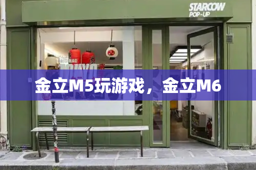 金立M5玩游戏，金立M6