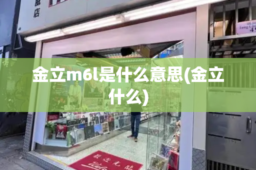 金立m6l是什么意思(金立什么)