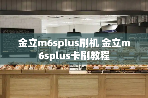 金立m6splus刷机 金立m6splus卡刷教程