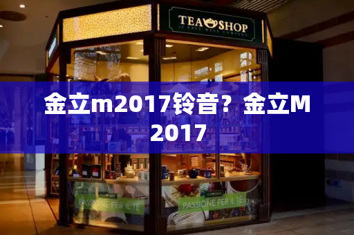 金立m2017铃音？金立M2017-第1张图片-星选测评