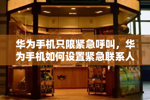 华为手机只限紧急呼叫，华为手机如何设置紧急联系人-第1张图片-星选测评