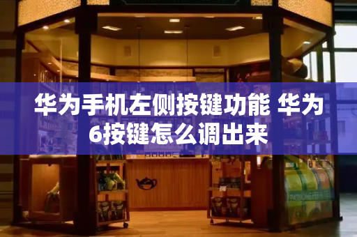 华为手机左侧按键功能 华为6按键怎么调出来-第1张图片-星选测评