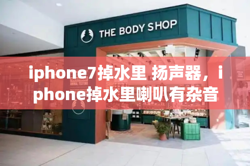 iphone7掉水里 扬声器，iphone掉水里喇叭有杂音