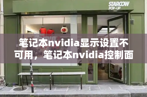 笔记本nvidia显示设置不可用，笔记本nvidia控制面板没有显示设置