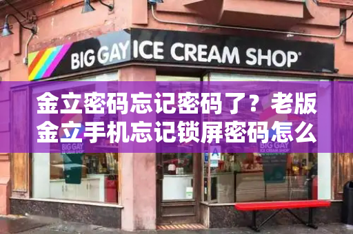 金立密码忘记密码了？老版金立手机忘记锁屏密码怎么办-第1张图片-星选测评