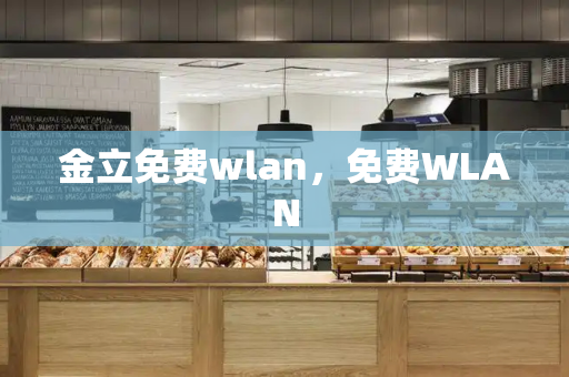 金立免费wlan，免费WLAN-第1张图片-星选测评