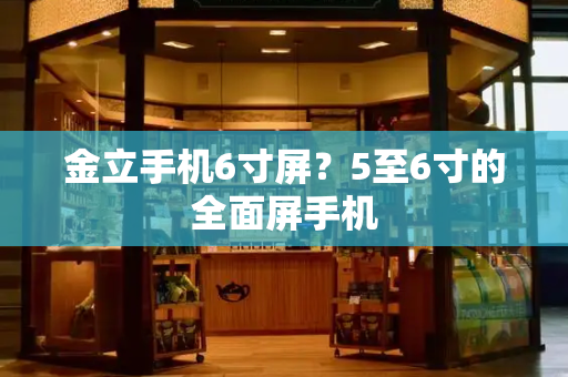 金立手机6寸屏？5至6寸的全面屏手机