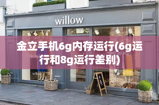 金立手机6g内存运行(6g运行和8g运行差别)-第1张图片-星选测评