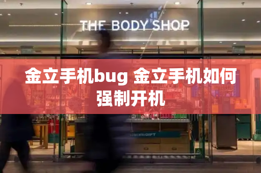 金立手机bug 金立手机如何强制开机-第1张图片-星选测评