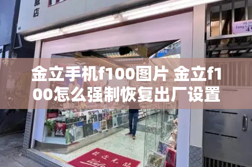 金立手机f100图片 金立f100怎么强制恢复出厂设置