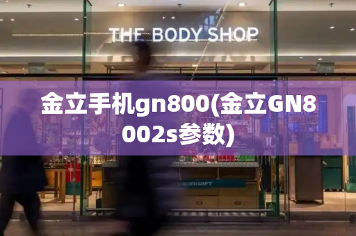 金立手机gn800(金立GN8002s参数)