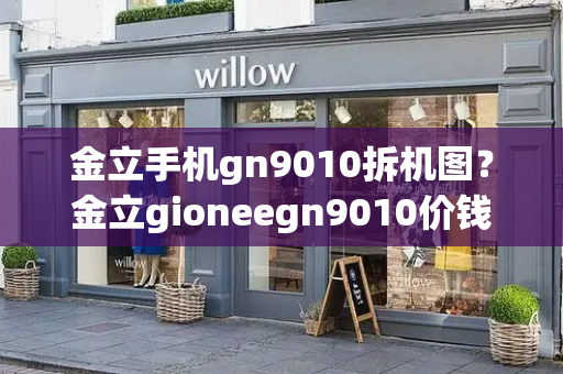 金立手机gn9010拆机图？金立gioneegn9010价钱