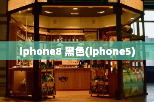 iphone8 黑色(iphone5)-第1张图片-星选测评