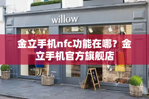 金立手机nfc功能在哪？金立手机官方旗舰店-第1张图片-星选测评