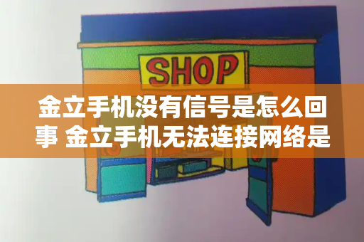 金立手机没有信号是怎么回事 金立手机无法连接网络是怎么回事-第1张图片-星选测评