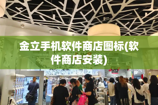 金立手机软件商店图标(软件商店安装)