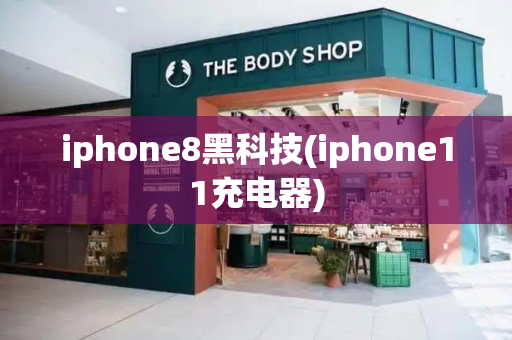 iphone8黑科技(iphone11充电器)