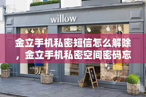 金立手机私密短信怎么解除，金立手机私密空间密码忘了怎么办-第1张图片-星选测评