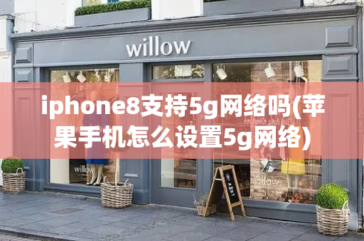 iphone8支持5g网络吗(苹果手机怎么设置5g网络)