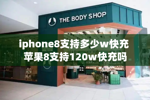 iphone8支持多少w快充 苹果8支持120w快充吗-第1张图片-星选测评