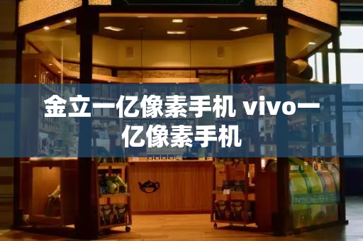 金立一亿像素手机 vivo一亿像素手机-第1张图片-星选测评