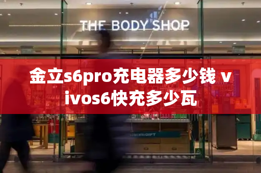 金立s6pro充电器多少钱 vivos6快充多少瓦-第1张图片-星选测评