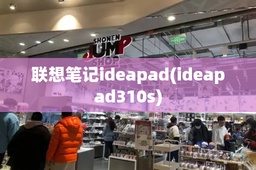 联想笔记ideapad(ideapad310s)