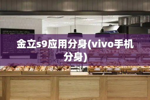 金立s9应用分身(vivo手机分身)-第1张图片-星选测评