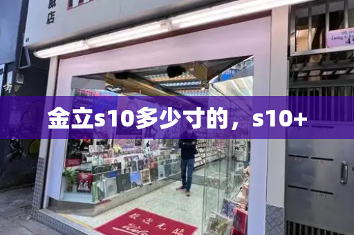 金立s10多少寸的，s10+