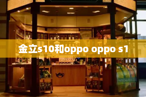 金立s10和oppo oppo s10