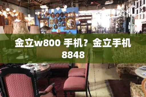 金立w800 手机？金立手机8848-第1张图片-星选测评