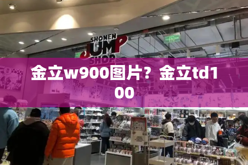 金立w900图片？金立td100-第1张图片-星选测评