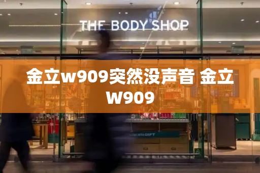 金立w909突然没声音 金立W909