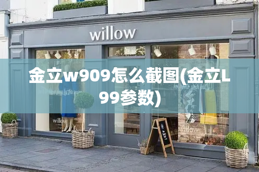 金立w909怎么截图(金立L99参数)-第1张图片-星选测评