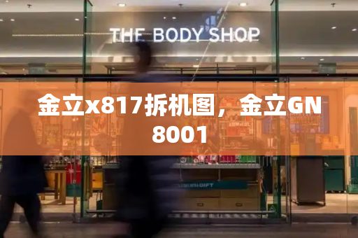 金立x817拆机图，金立GN8001