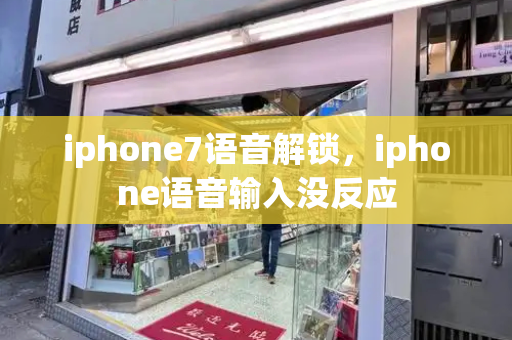 iphone7语音解锁，iphone语音输入没反应-第1张图片-星选测评