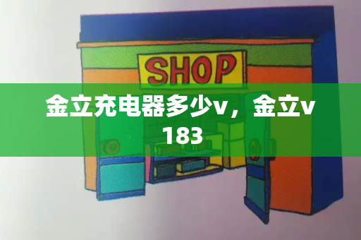 金立充电器多少v，金立v183-第1张图片-星选测评