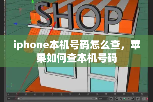 iphone本机号码怎么查，苹果如何查本机号码-第1张图片-星选测评