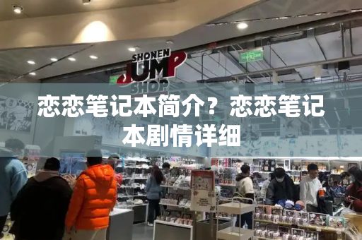 恋恋笔记本简介？恋恋笔记本剧情详细